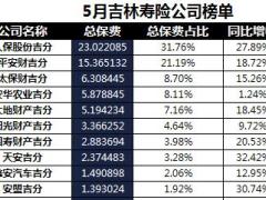 吉林省2018年前5月寿险公司总保费排行榜.xls