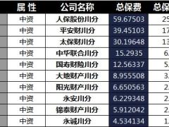 四川省2018年前5月寿险公司总保费排行榜.xls