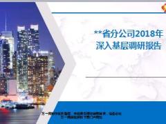 2019开门红深入基层调研概述形式及过程总结报告21页.ppt