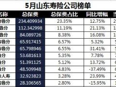 山东省2018年前5月寿险公司总保费排行榜.xls