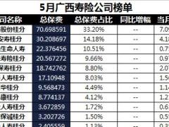 广西2018年前5月寿险公司总保费排行榜.xls