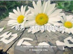 每日鸡汤努力才有选择的余地.rar