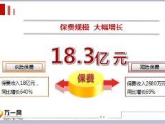 分公司团险2018年经营汇报2019年工作规划15页.ppt
