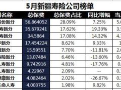 新疆2018年前5月寿险公司总保费排行榜.xls