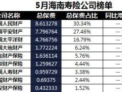 海南省2018年前5月寿险公司总保费排行榜.xls