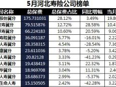 河北省2018年前5月寿险公司总保费排行榜.xls