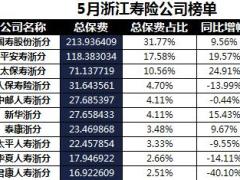 浙江省2018年前5月寿险公司总保费排行榜.xls