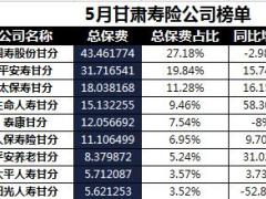 甘肃省2018年前5月寿险公司总保费排行榜.xls