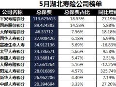 湖北省2018年前5月寿险公司总保费排行榜.xls