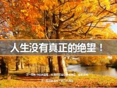 每日鸡汤人生没有真正的绝望.rar