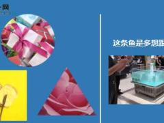 每日快乐早会18年10月25日使用12页.ppt