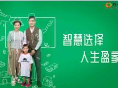 合众智慧盈家保险计划产品背景介绍案例解析37页.ppt