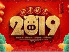 2019猪年大吉开门红图片10页.ppt