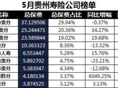 贵州省2018年前5月寿险公司总保费排行榜.xls