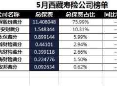 西藏2018年前5月寿险公司总保费排行榜.xls