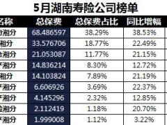 湖南省2018年前5月寿险公司总保费排行榜.xls