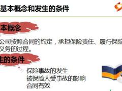 新人衔接培训5理赔实务国寿版55页.ppt