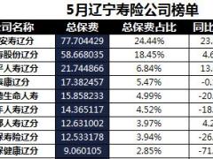 辽宁省2018年前5月寿险公司总保费排行榜.xls