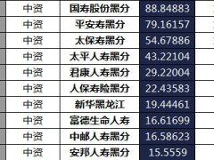 黑龙江省2018年前6月寿险公司总保费排行榜.xls