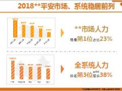2019年保险公司开门红人力规划95页.ppt
