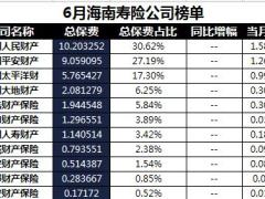 海南省2018年前6月寿险公司总保费排行榜.xls