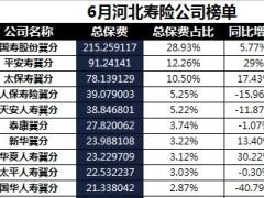 河北省2018年前6月寿险公司总保费排行榜.xls