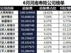 河南省2018年前6月寿险公司总保费排行榜.xls