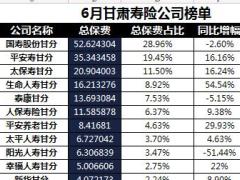 甘肃省2018年前6月寿险公司总保费排行榜.xls