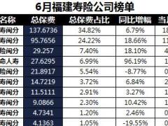 福建省2018年前6月寿险公司总保费排行榜.xls