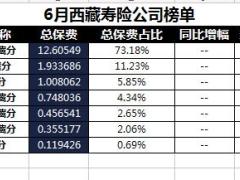 西藏2018年前6月寿险公司总保费排行榜.xls