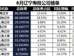 辽宁省2018年前6月寿险公司总保费排行榜.xls