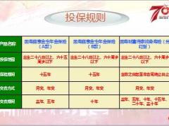 国寿鑫享金生年金保险AB款等九款产品承保规则指引17页.ppt