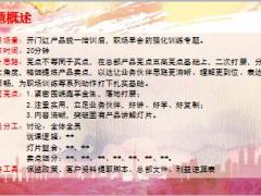 中国人寿鑫享金生产品卖点分析18页.ppt