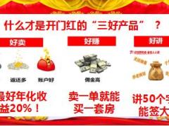 国寿鑫享金生保险产品讲解及话术要点33页.ppt
