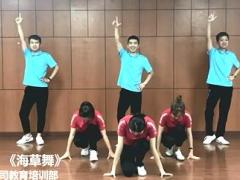 视频重庆国寿海草舞.rar