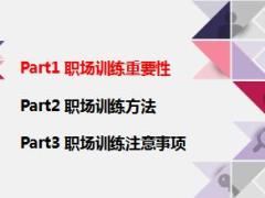 国寿鑫玉满堂职场训练重要性方法注意事项17页.ppt
