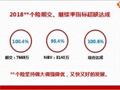 中支个险2018年总结暨2019年工作规划与举措41页.ppt