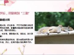 每日健康做到三勤四懒五不贪的人才能延年益寿18页.ppt
