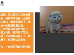 每日快乐早会18年11月5日使用12页.ppt
