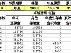 太平2019开门红卓越智臻利益演示速查表1页.xls