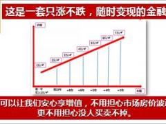 国寿鑫享金生金融房产职训5页.ppt
