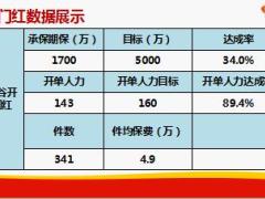 开门红目标达成举措下一步规划28页.ppt