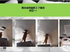 每日快乐早会18年11月6日使用12页.ppt