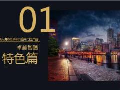太平卓越智臻终身年金保险分红型特色篇产品篇示例篇培训课件26页.ppt