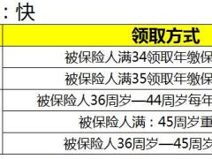 2019国寿鑫享金生年金保险自动计划书.xls