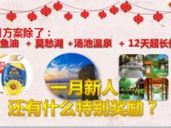2019年1月新人专属方案9页.ppt