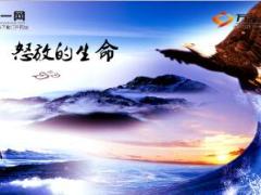 保险迎新晨会流程16页.ppt