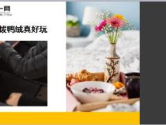 每日快乐早会18年11月8日使用12页.ppt