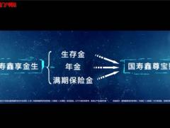 视频国寿鑫享金生年金保险A款产品介绍.rar