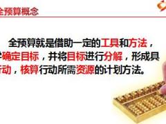 为什么要升级全预算2点0如何做国寿版42页.ppt